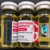 Buy Testosterone Enanthate 250mg/ml - 10ml Bottle - Featured Image