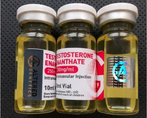 Buy Testosterone Enanthate 250mg/ml - 10ml Bottle - Featured Image