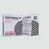 TESTOBAL-E – Testosterone Enanthate – 250mg - Featured Image