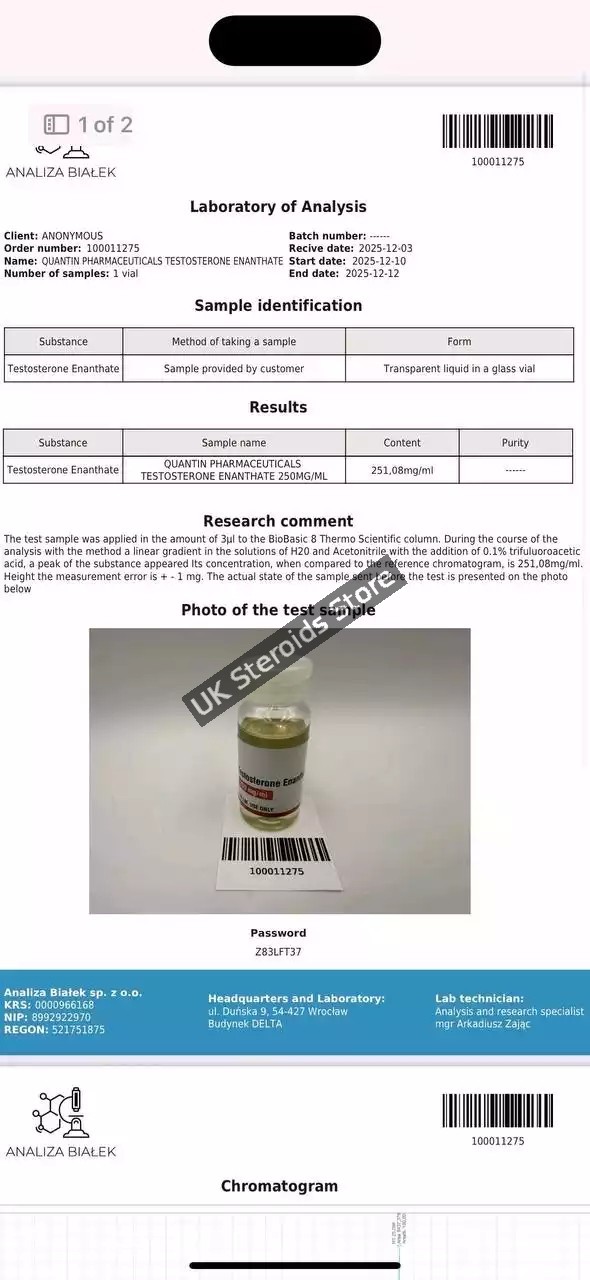 testo-e_test Buy Quantum Pharma Testosterone Enanthate 250 mg/ml - Gallery Image 1