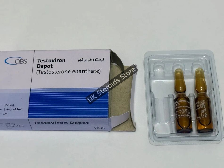 OBS-1 Buy Testoviron by OBS Pharma (PVT) Ltd - Testosterone Enanthate 250mg/ml x 3 Amps - Gallery Image 1