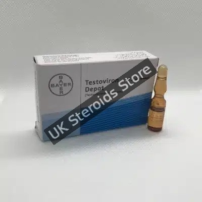 BUY TESTOSTERONE ENANTHATE 250mg/ML X 3 AMPS BAYER TESTAVIRON - PHARMA GRADE - Featured Image