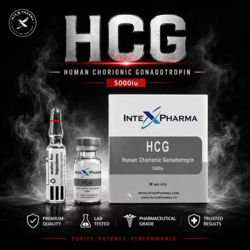 Intex Pharma HCG 5000iu - Featured Image