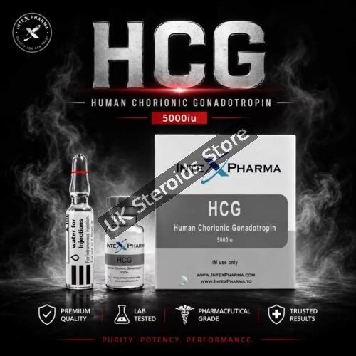Intex Pharma HCG 5000iu - Featured Image