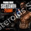 Pharma Grade Sustanon 250mg x 1 ml Amps by Hansel Pharma - Featured Image
