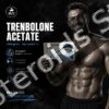 Buy Trenbolone Acetate 100mg -10x1ml Amps - Baltic Pharmaceuticals - Featured Image