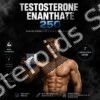 Buy Aburaihan Testosterone Enanthate 250 - Pharma Grade - Featured Image