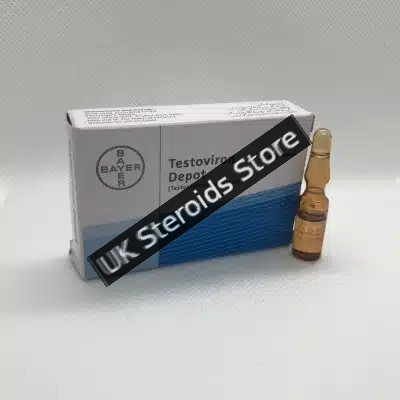 BUY TESTOSTERONE ENANTHATE 250mg/ML X 3 AMPS BAYER TESTAVIRON - PHARMA GRADE - Featured Image