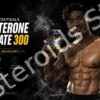 Buy Testosterone Enanthate 300 mg/ml C4-Pharmaceuticals - Featured Image