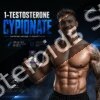 Pharmaqo – Testosterone-C 200 – Test Cypionate - Featured Image