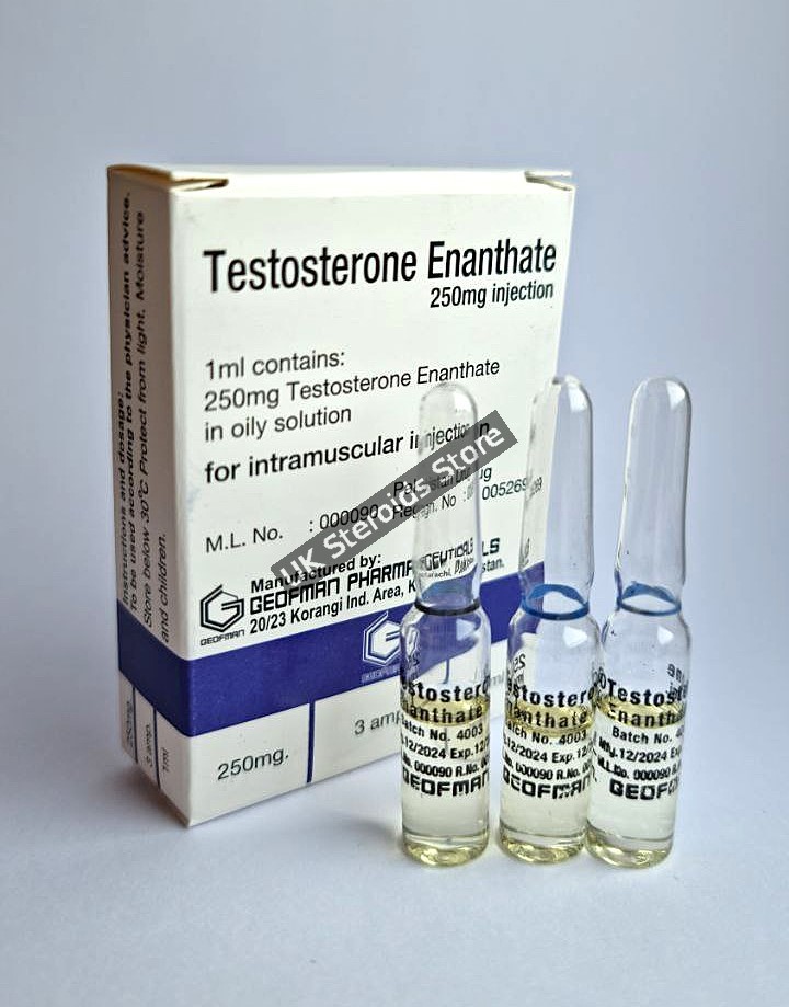 Geofman-Pharmaceuticals-Testosterone-Enanthate-250 Buy Testosterone Enanthate 250mg - Geofman Pharmaceuticals - Gallery Image 1
