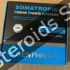 Somatropin 100iu Kit by Gen Pharma - Featured Image