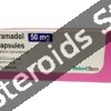 Buy Tramadol 50mg x 100 Capsules - Featured Image