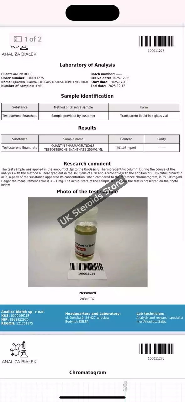 testo-e_test Buy Quantum Pharma Testosterone Enanthate 250 mg/ml - Gallery Image 1